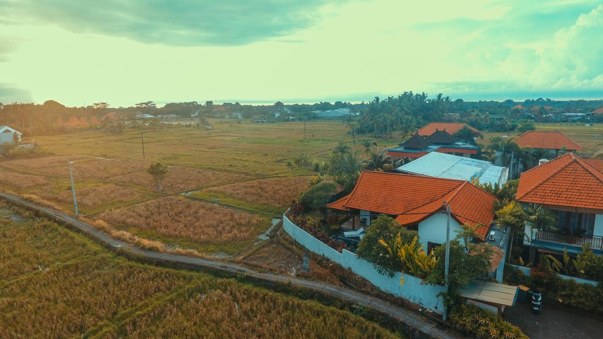 Villa Maya Ubud, Peaceful Rice Field View Exteriér fotografie