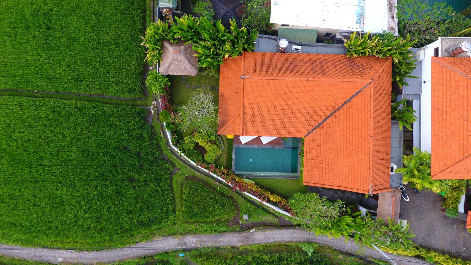 Villa Maya Ubud, Peaceful Rice Field View Exteriér fotografie