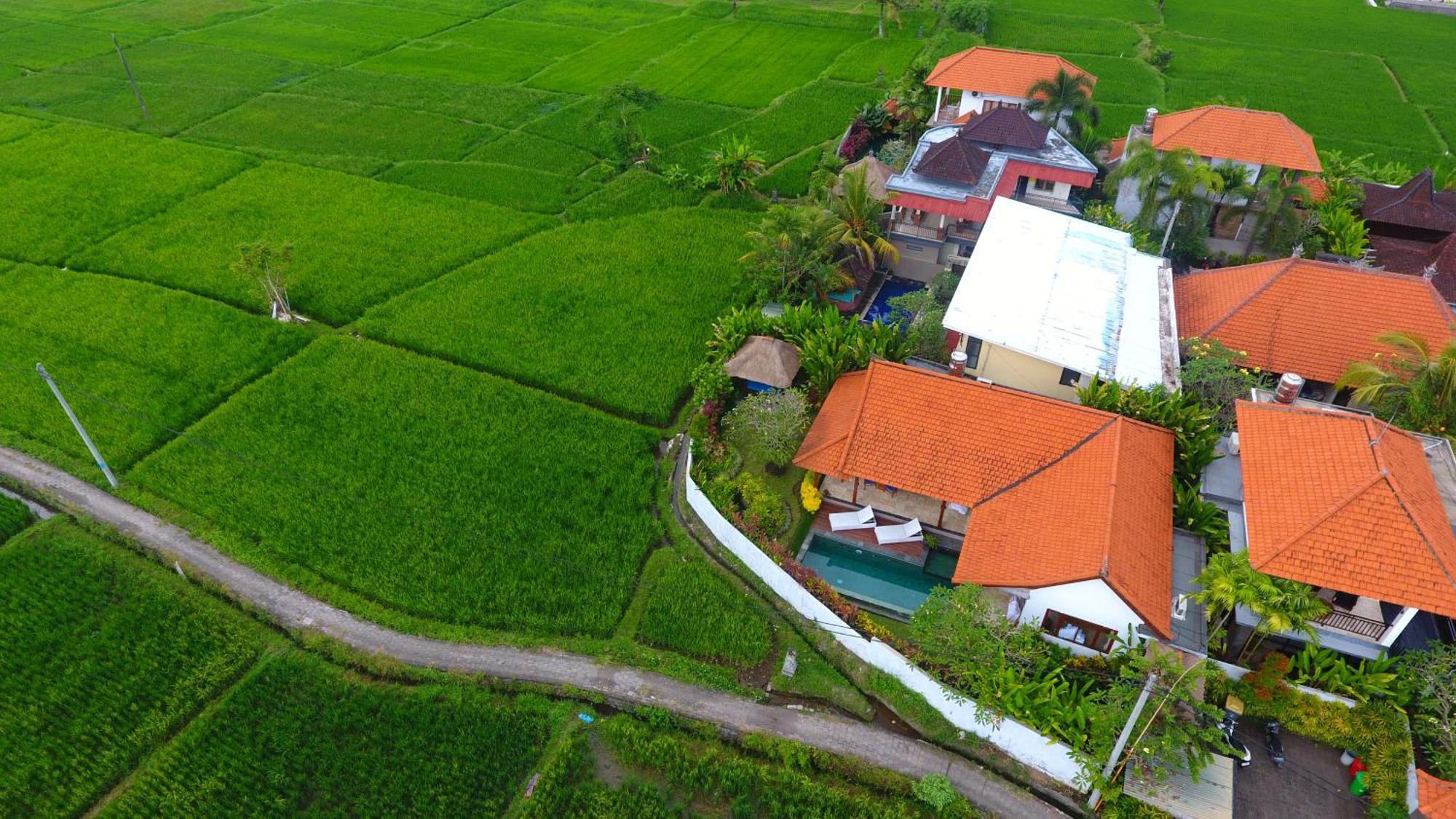 Villa Maya Ubud, Peaceful Rice Field View Exteriér fotografie