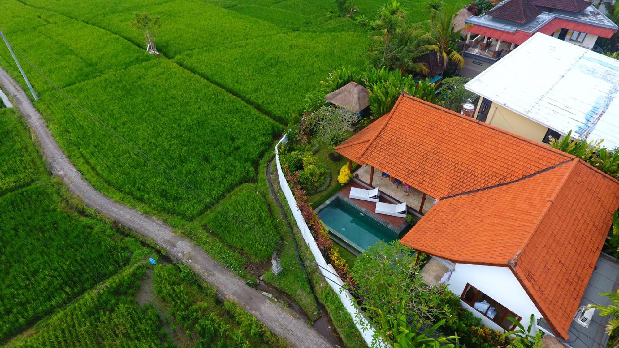 Villa Maya Ubud, Peaceful Rice Field View Exteriér fotografie