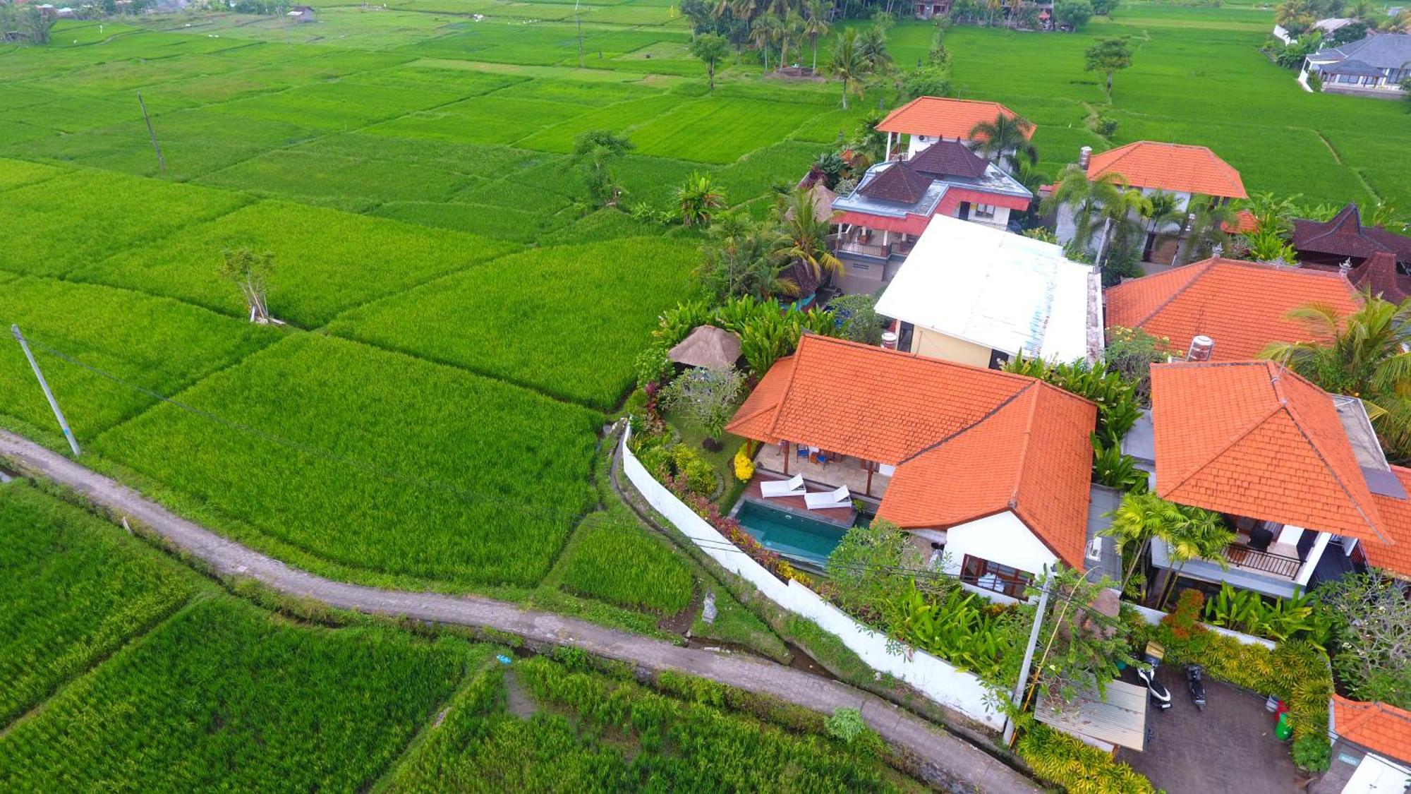 Villa Maya Ubud, Peaceful Rice Field View Exteriér fotografie